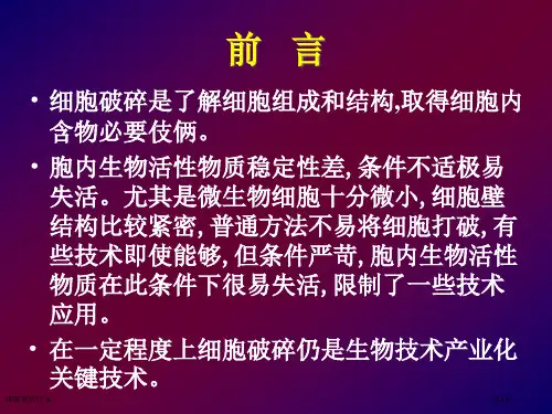 细胞破碎技术
