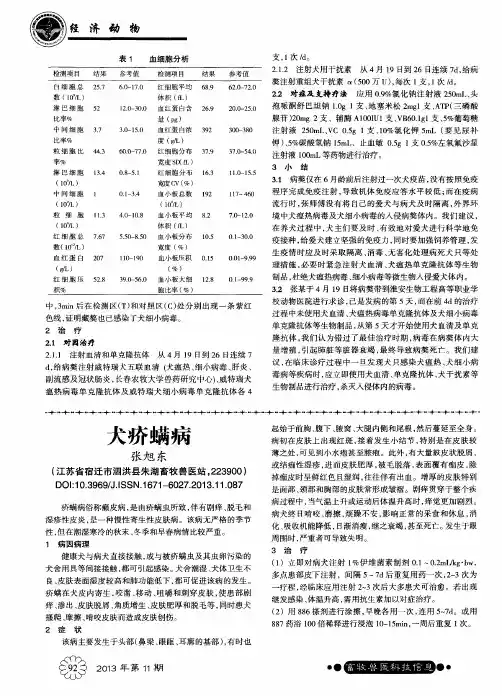 犬疥螨病