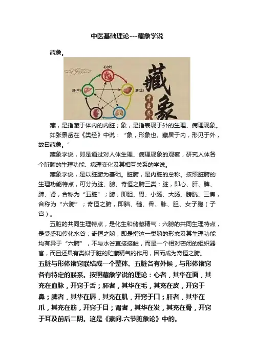 中医基础理论---藏象学说