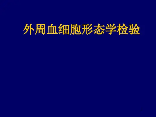 01血涂片、红细胞形态ppt课件