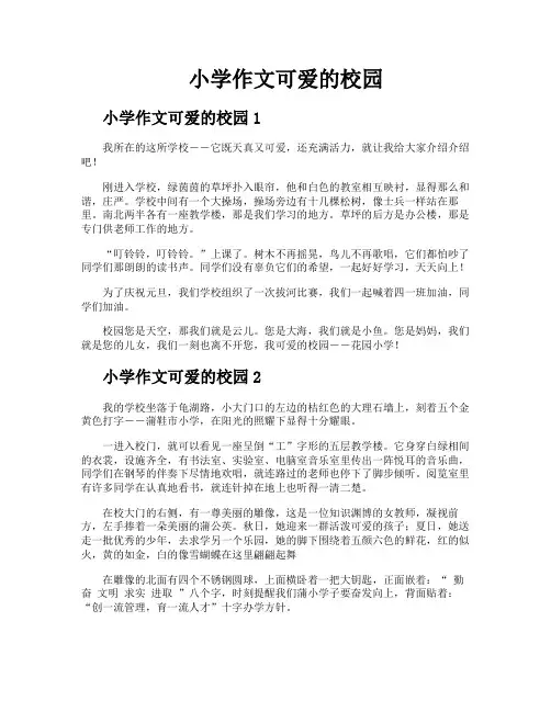 小学作文可爱的校园
