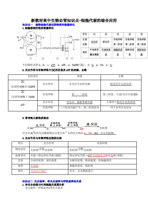 新教材高中生物必背知识点-细胞代谢的综合应用