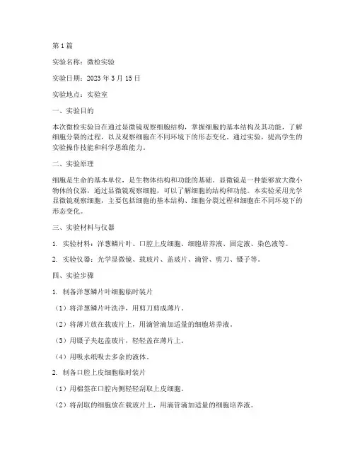 微检实验总结报告范文(3篇)