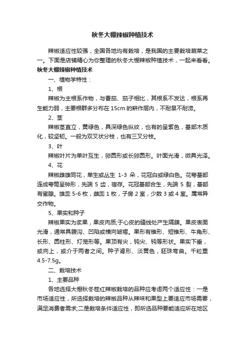 秋冬大棚辣椒种植技术