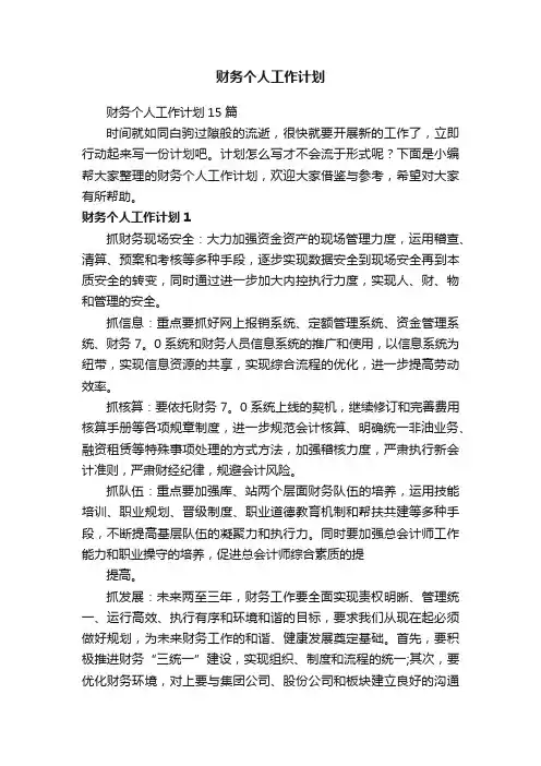 财务个人工作计划15篇