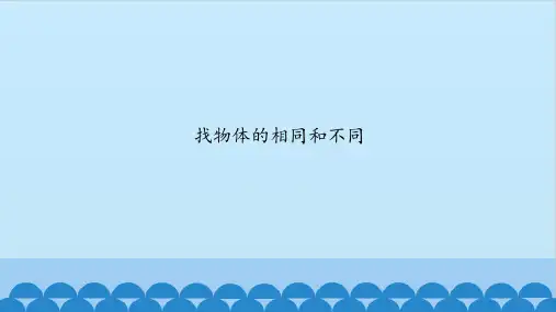一年级上册科学课件-找物体的相同和不同｜湘教版(一起)