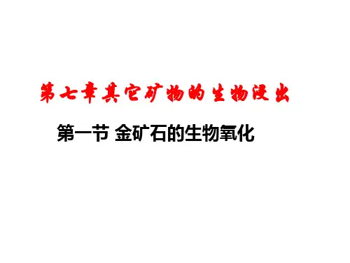 生物选矿技术第七章