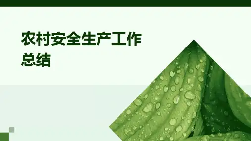 农村安全生产工作总结PPT