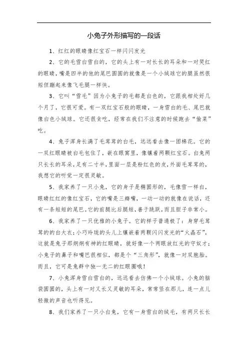小兔子外形描写的一段话