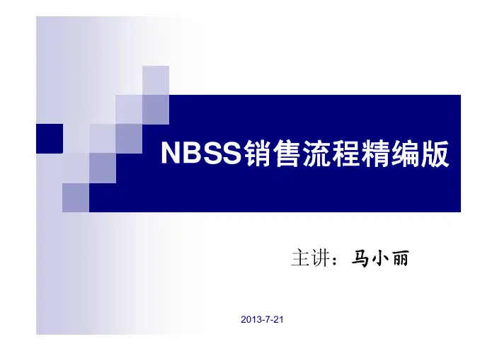 NBSS销售流程精编版