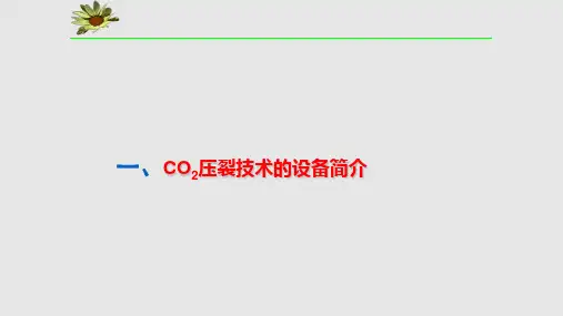 煤层气田二氧化碳压裂适应性简介
