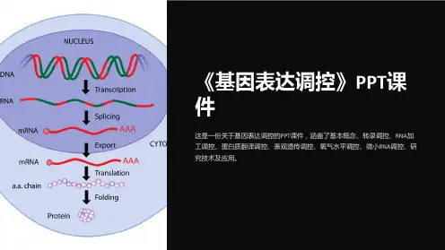《基因表达调控》课件
