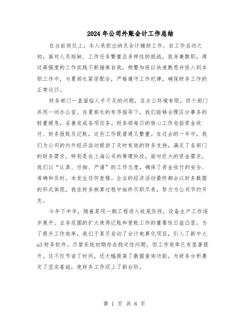 2024年公司外账会计工作总结（3篇）