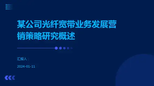 某公司光纤宽带业务发展营销策略研究概述