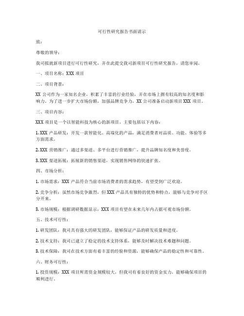 可行性研究报告书面请示