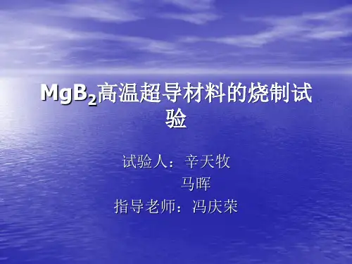 MgB2高温超导材料的烧制试验(精)