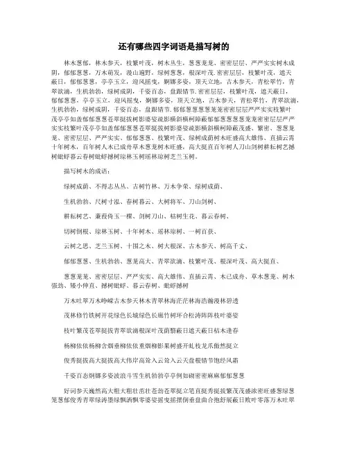 还有哪些四字词语是描写树的