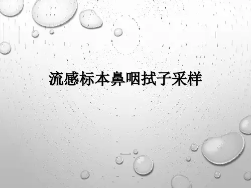 流感标本鼻咽拭子采样