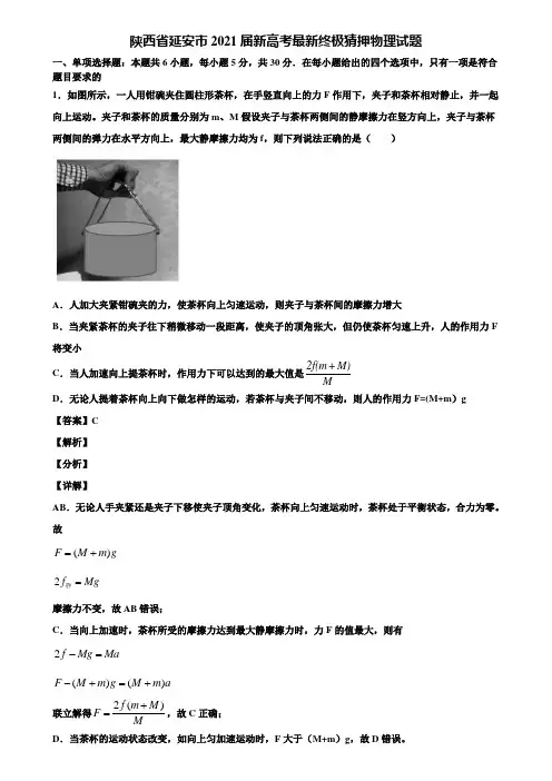 陕西省延安市2021届新高考最新终极猜押物理试题含解析