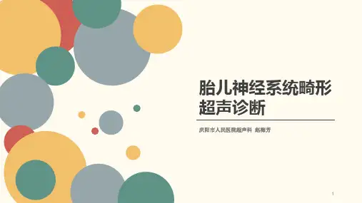 胎儿神经系统畸形超声诊断ppt课件