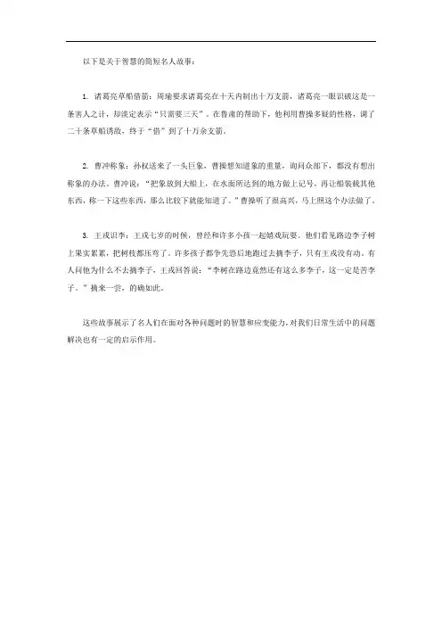 关于智慧的名人故事简短
