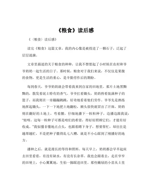 《粮食》读后感