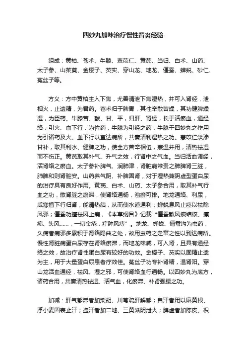 四妙丸加味治疗慢性肾炎经验