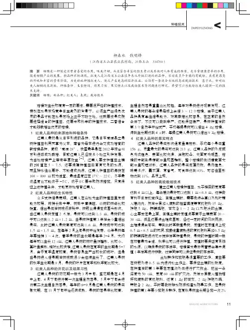柑橘新品种红美人引种表现及高效栽培技术