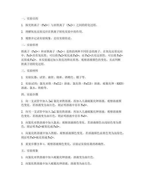 铁离子转化实验报告