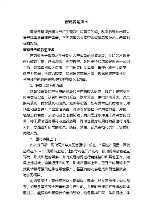 蛋鸡养殖技术