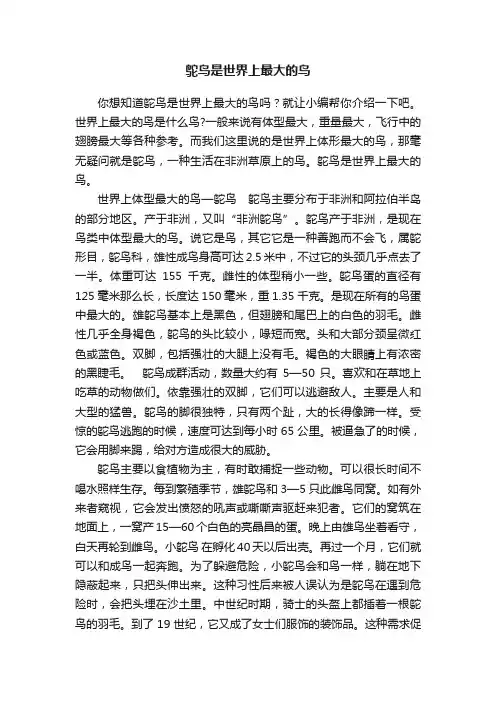 鸵鸟是世界上最大的鸟