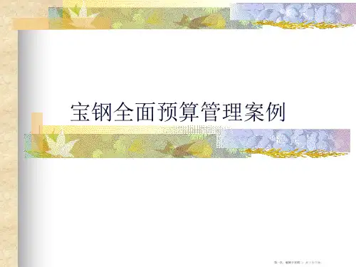 宝钢全面预算管理案例77页PPT