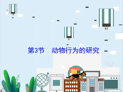 北师大版八年级生物上册《动物行为的研究》  课件2