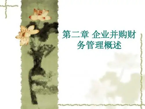 高级财务管理 第二章