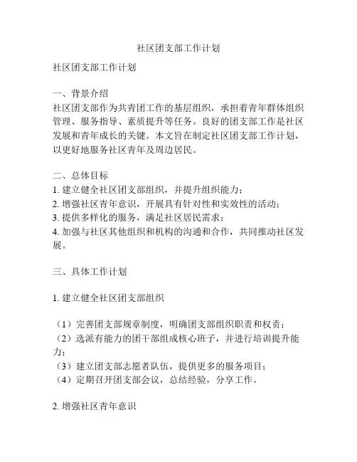 社区团支部工作计划