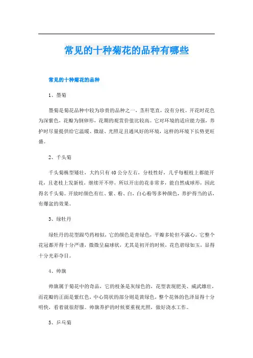 常见的十种菊花的品种有哪些