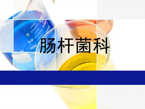 肠杆菌科PPT课件