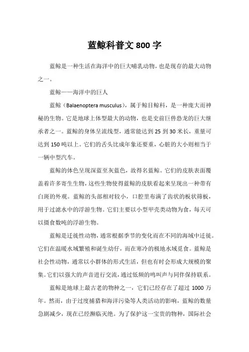 蓝鲸科普文800字