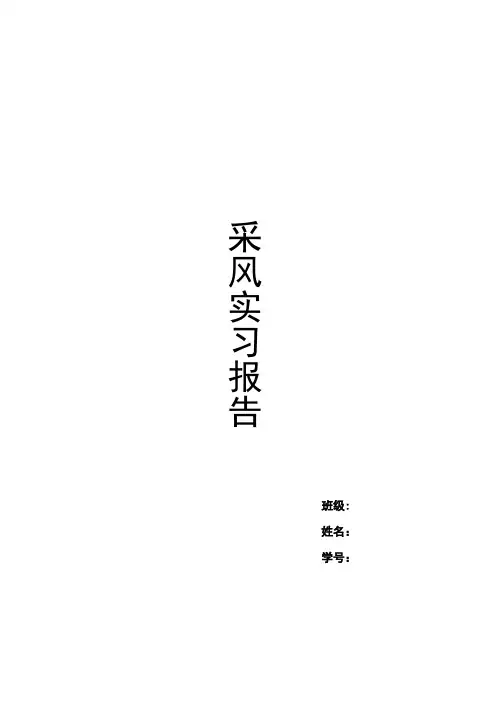 采风实习报告