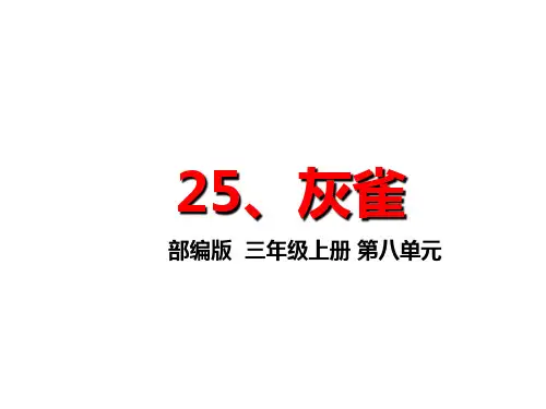 人教部编版语文三年级上册25《灰雀》说课课件