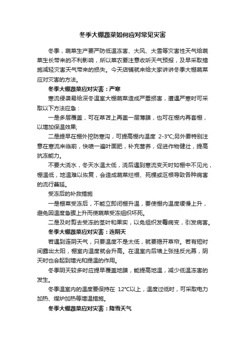 冬季大棚蔬菜如何应对常见灾害