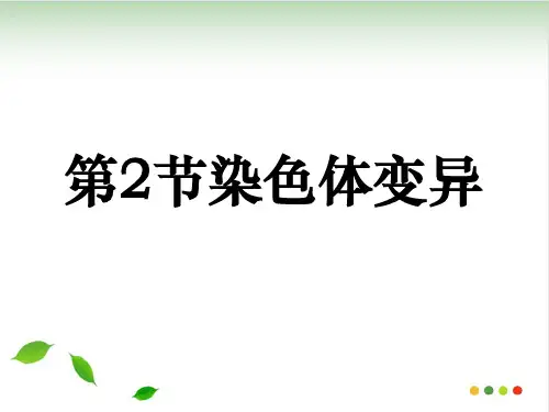 人教版《染色体变异》课件14