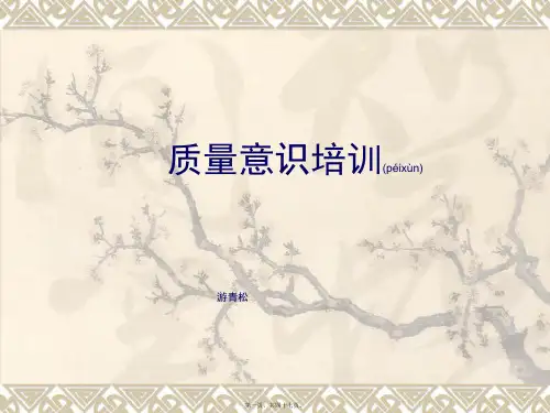 质量意识培训(PPT 46页)(精品PPT)