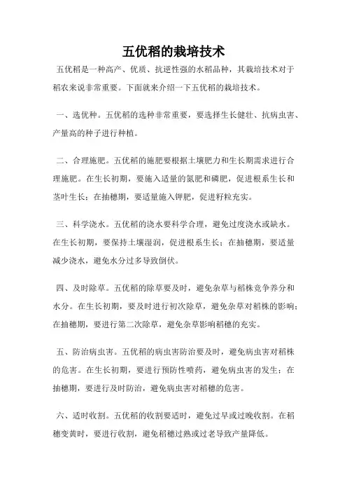 五优稻的栽培技术