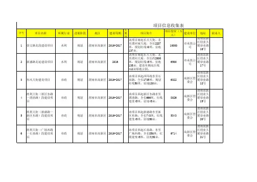 项目信息表