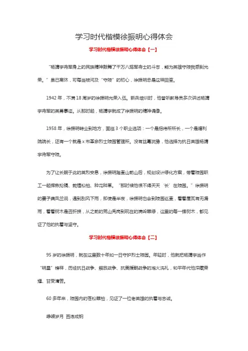 学习时代楷模徐振明心得体会