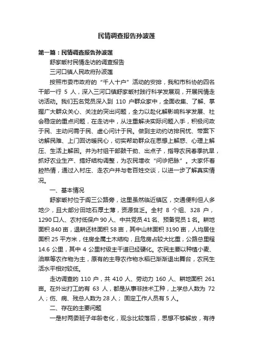 民情调查报告孙波莲
