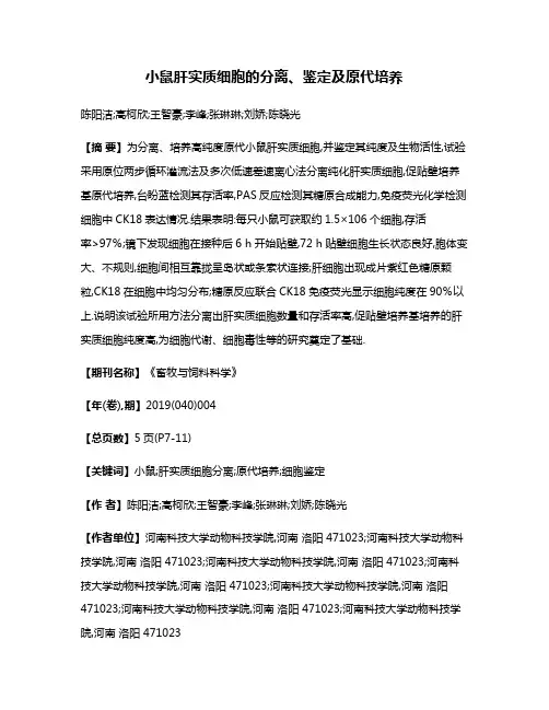 小鼠肝实质细胞的分离、鉴定及原代培养
