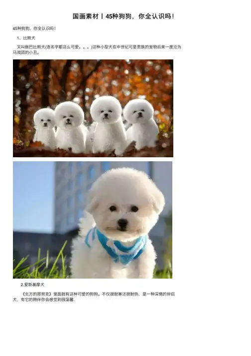 国画素材丨45种狗狗，你全认识吗！