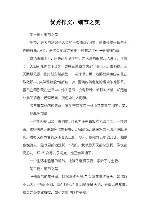 优秀作文:细节之美